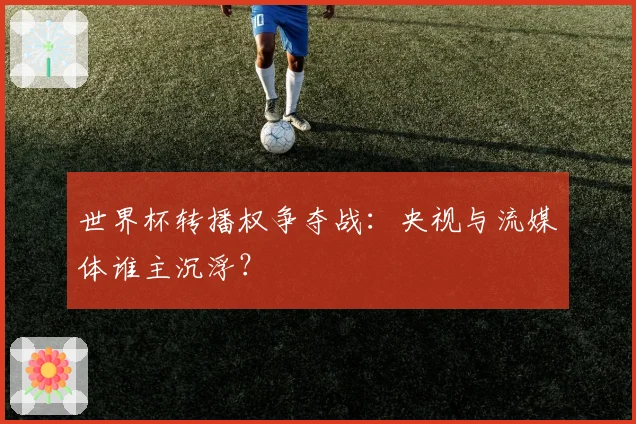 世界杯转播权争夺战:央视与流媒体谁主沉浮?