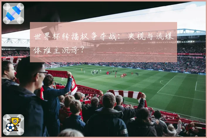 世界杯转播权争夺战：央视与流媒体谁主沉浮？