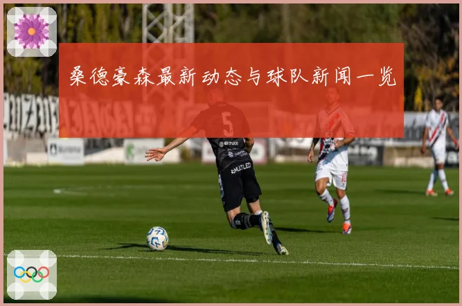 桑德豪森最新动态与球队新闻一览