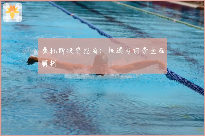 桑托斯投资指南：机遇与前景全面解析