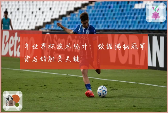 年世界杯技术统计：数据揭秘冠军背后的胜负关键