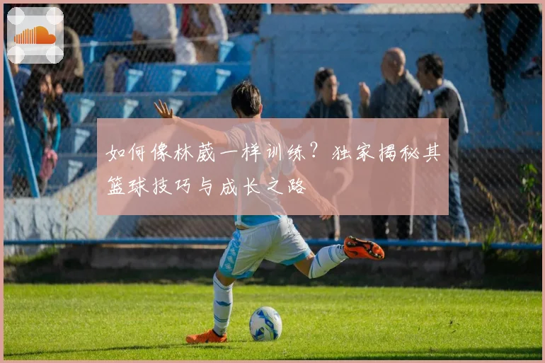 如何像林葳一样训练?独家揭秘其篮球技巧与成长之路
