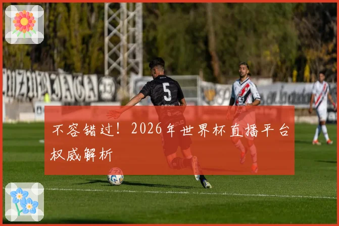不容错过！2026年世界杯直播平台权威解析