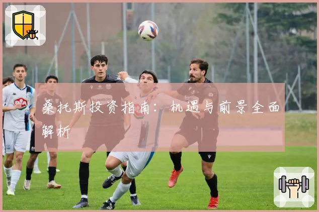 桑托斯投资指南：机遇与前景全面解析