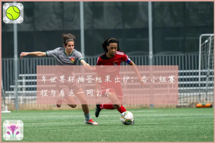 年世界杯抽签结果出炉:各小组赛程与看点一网打尽